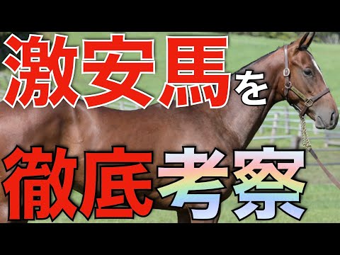 次のスウィープフィートを探せ！募集額1,000万以下の激安馬たちを徹底考察。