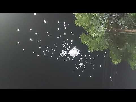 White balloons flew in the sky from the Ansan Mancha of Dharmatala