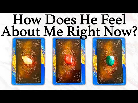 💕WHAT DOES HE/SHE THINK AND FEEL ABOUT ME RIGHT NOW?💕| 🔮Pick A Card🔮 | Love Tarot Reading (Timeless)