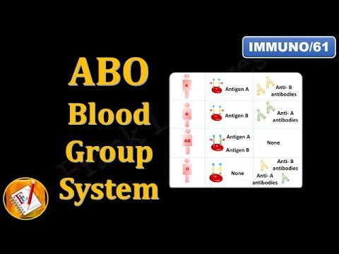 ABO Blood Group System (FL-Immuno/61)