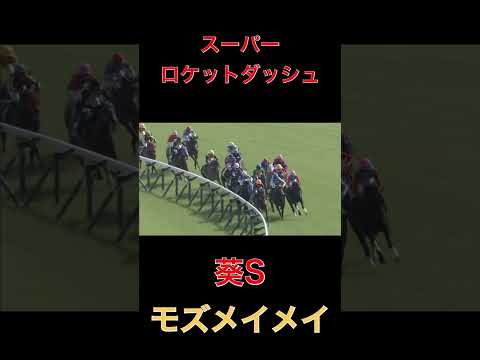 スーパーロケットダッシュ、モズメイメイ【競馬】