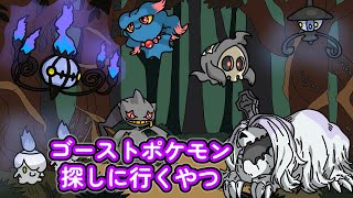 ゴーストポケモン探しに行くやつ【アニメ】