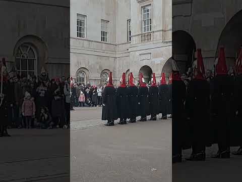 King's guards horse #king #guards #horse #today #3/1/25 #london #india #ytshots @vichethediamonds#