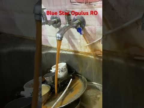 BlueStar Ro Opulus Chavi replace#bluestar Ro repair #rowaterpurifier#short #service