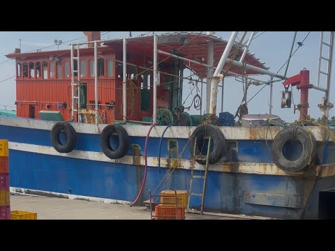 Experience the Thrill of a Fishing Vessel Tour at Anjangal Harbour, Engandiyur, Kerala