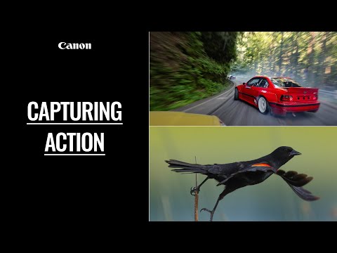 Action Shots with Canon: Photo & Video Tips