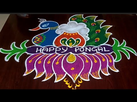 Sankranti special rangolis 🦚 beautiful sankranti rangolis #sankranthi #rangoli #festival #muggulu