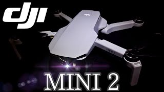 【進化版】DJI Mini 2 高性能ドローン・女子でも使いこなせそう‼️ 👊😆🎵