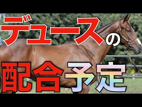 ドウデュースの配合予定馬が早くも発表！これは凄いことになりそう…。