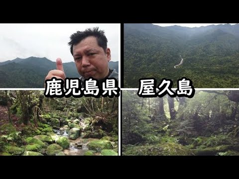 【鹿児島県屋久島】45歳おっさんひとり旅。もののけ姫の舞台と言われる苔むすの森へ往復5時間山歩きし筋肉痛になる旅。