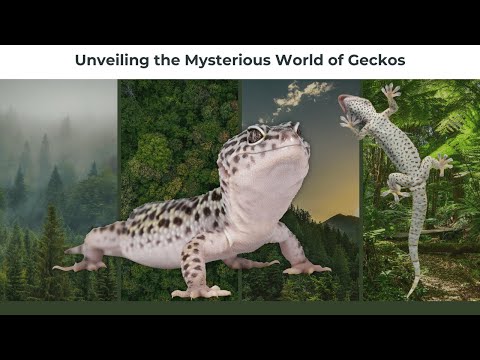 Unveiling the Mysterious World of Geckos: Their Life, Habits, and Daily Activities! Animal Kingdom