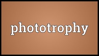 Phototrophy Meaning