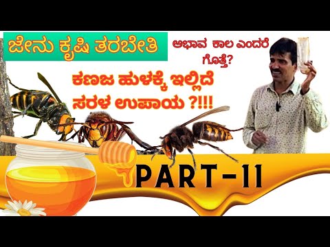 PART -11 ಅಭಾವ ಕಾಲದಲ್ಲಿ ಮಾಡಲೇ ಬೇಕಾದ ಕೆಲಸದ ಬಗ್ಗೆ ತಿಳಿಯಿರಿ | Easy idea for gaint hornet problem to Bee.