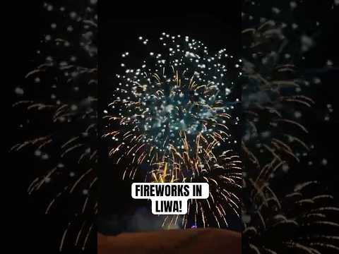 Amazing fireworks in LIWA #liwa2025 #liwafireworks #newyearfirework