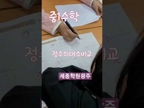 정수의대소비교,중1수학, 중학교1학년이 되어서 처음배우는 정수라 크고 작음을 헷갈려하는 친구들에게 개인지도로 잘짚어줍니다.#세종학원광주#백운동수학영어학원#월산동수학영어학원#무진중