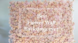 Top Flower Wall Backdrop 2023