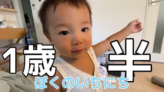 1歳半の1日