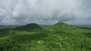 Asiatic Lion Kingdom During Monsoon 1080