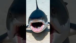 Top 10 Animals With the Strongest Bite Force (Tiger, Crocodile, Shark)