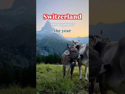 SWITZERLAND month-by-month | Switzerland Travel 2025