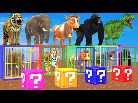 Don't Jump On WRONG BOX Challenge With Elephant, Cow, Tiger, Gorilla Escape Room Challenge Cage Game