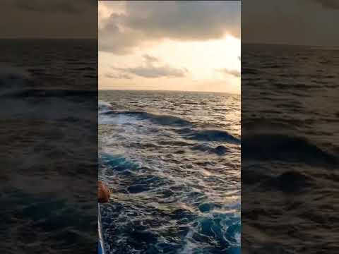 Sunset - Lakshadweep #lakshadweepdiaries  #viralshorts  #shorts #shortsfeed