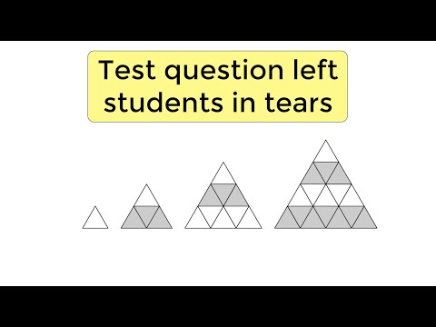 Singapore test question that left students crying