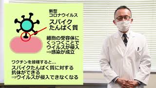 メッセンジャーRNA（mRNA）ワクチンとは？【保健所長が答えるコロナワクチンQ&A】