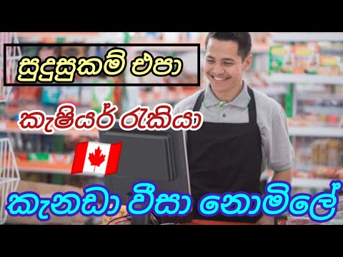 කැනඩා වීසා නොමිලේ. කැෂියර් අංශයේ රැකියා. cashier foreign job vacancies in canada free visa