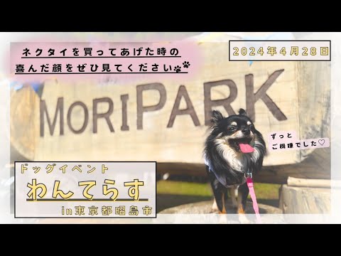 【愛犬イベント】犬も喜ぶとこんな顔になります〜わんてらすinモリパーク（東京都昭島市）〜