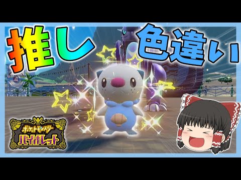 【ポケモンSV】可愛すぎる色違いミジュマルを厳選する！！【最強レイド】【ゆっくり実況】#ポケモンsv #ゆっくり実況  #色違いミジュマル