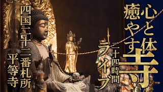 心とからだ癒す寺｜平等寺　 24時間ライブ配信