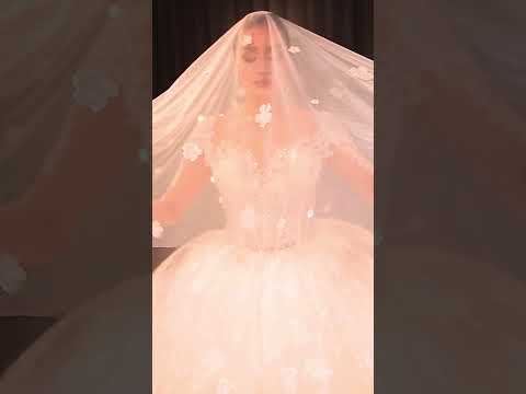 Princess wedding dress with veil