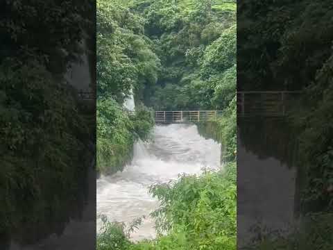 Vellamalai Tunnel in Valparai #valparai #pollachi #pollachi360