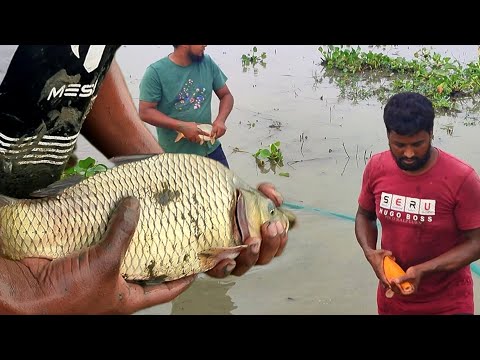 Amazing Hand Fishing| বিলে কাদা পানিতে  মাছ ধরা | Village Fishing video #fish #fishing #carpfishing