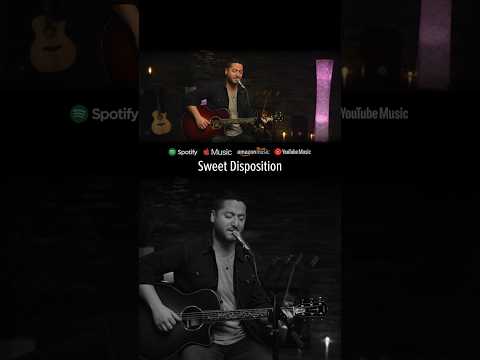 Sweet Disposition - The Temper Trap (Boyce Avenue acoustic cover) #shorts #singingcover #ballad