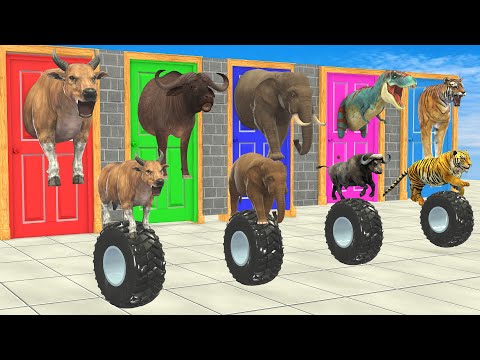 Choose The Right Door With Tire And Win With Elephant, Cow, Tiger, Gorilla Buffalo Wild Animals 2023