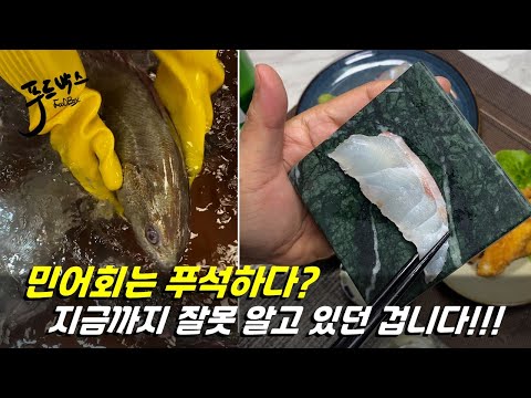 민어회가 푸석하고 맛이 없다? 그럼  지금까지 잘 못 알고 있었던 겁니다!