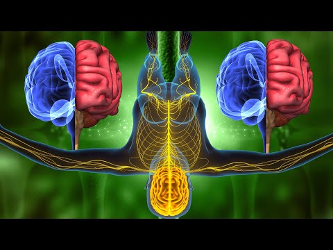 Deep Healing Music for The Brain - Activate 100% of Your Brain & Achieve Everything You Want | 528H