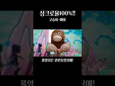 싱크로율100%(?)!!!고숭이-해야MV#고숭이#오랑우탄#또또로#아이브#해야#알고리즘떠라#떡상하쟈