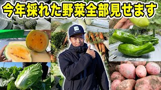 【感謝】鈴木農園で今年収穫した野菜一気見 2024年