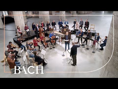 Bach - Cantata Schauet doch und sehet... BWV 46 - Rademann | Netherlands Bach Society