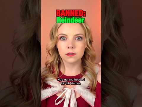 If Christmas items were Banned… Part 4