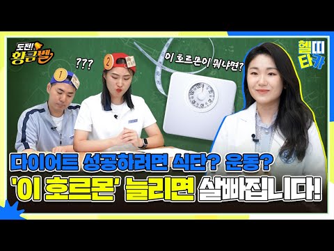 다이어트 식단 관리? 이젠 호르몬 관리하세요! 포만감 유지하는 GLP 호르몬의 모든 것   | 헬띠타카