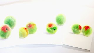 はがき絵　ナンコウウメ（南高梅）Prunus mume   HD 1080p