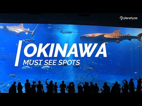 All about Okinawa - Must see spots in Okinawa | Japan Travel Guide