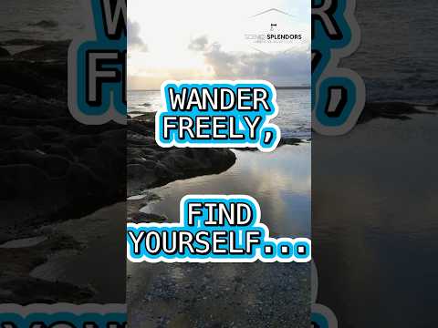 Wander freely, find yourself. #naturelovers #nature #travel #beach #sunset #explore #tourism