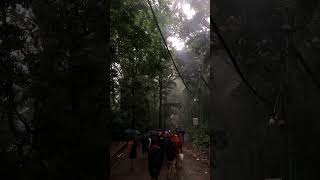 ശബരിമല യാത്ര #kerala |sabarimala |#ayyapa #sabarimala #sabarimalaijourney #ayyapansongs