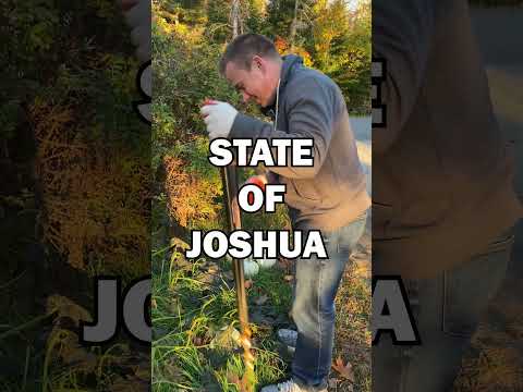 State of Joshua Journey To The Top: Day 67, Harvesting My Pumpkins