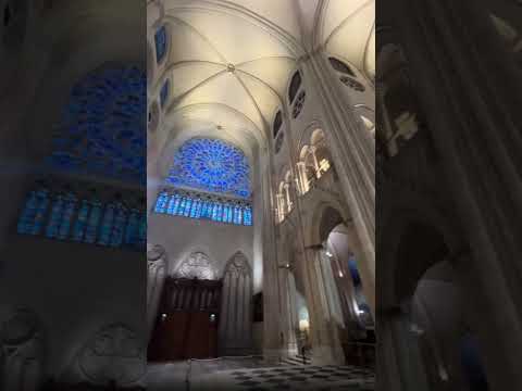 Notre-dame Cathedral Reopening Paris